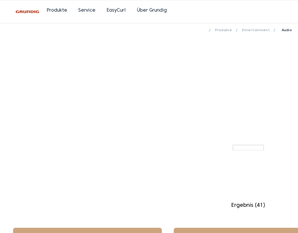 Grundig homepage